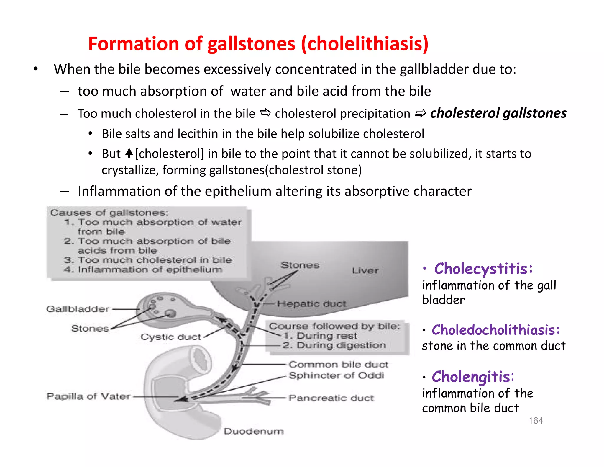 Formation of gallstones (cholelithiasis)
• When the bile becomes excessively concentrated in the gallbladder due to:
– too much absorption of water and bile acid from the bile
– Too much cholesterol in the bile  cholesterol precipitation  cholesterol gallstones
• Bile salts and lecithin in the bile help solubilize cholesterol
• But [cholesterol] in bile to the point that it cannot be solubilized, it starts to
crystallize, forming gallstones(cholestrol stone)
– Inflammation of the epithelium altering its absorptive character
Formation of gallstones (cholelithiasis)
• When the bile becomes excessively concentrated in the gallbladder due to:
– too much absorption of water and bile acid from the bile
– Too much cholesterol in the bile  cholesterol precipitation  cholesterol gallstones
• Bile salts and lecithin in the bile help solubilize cholesterol
• But [cholesterol] in bile to the point that it cannot be solubilized, it starts to
crystallize, forming gallstones(cholestrol stone)
– Inflammation of the epithelium altering its absorptive character
164
• Cholecystitis:
inflammation of the gall
bladder
• Choledocholithiasis:
stone in the common duct
• Cholengitis:
inflammation of the
common bile duct
 