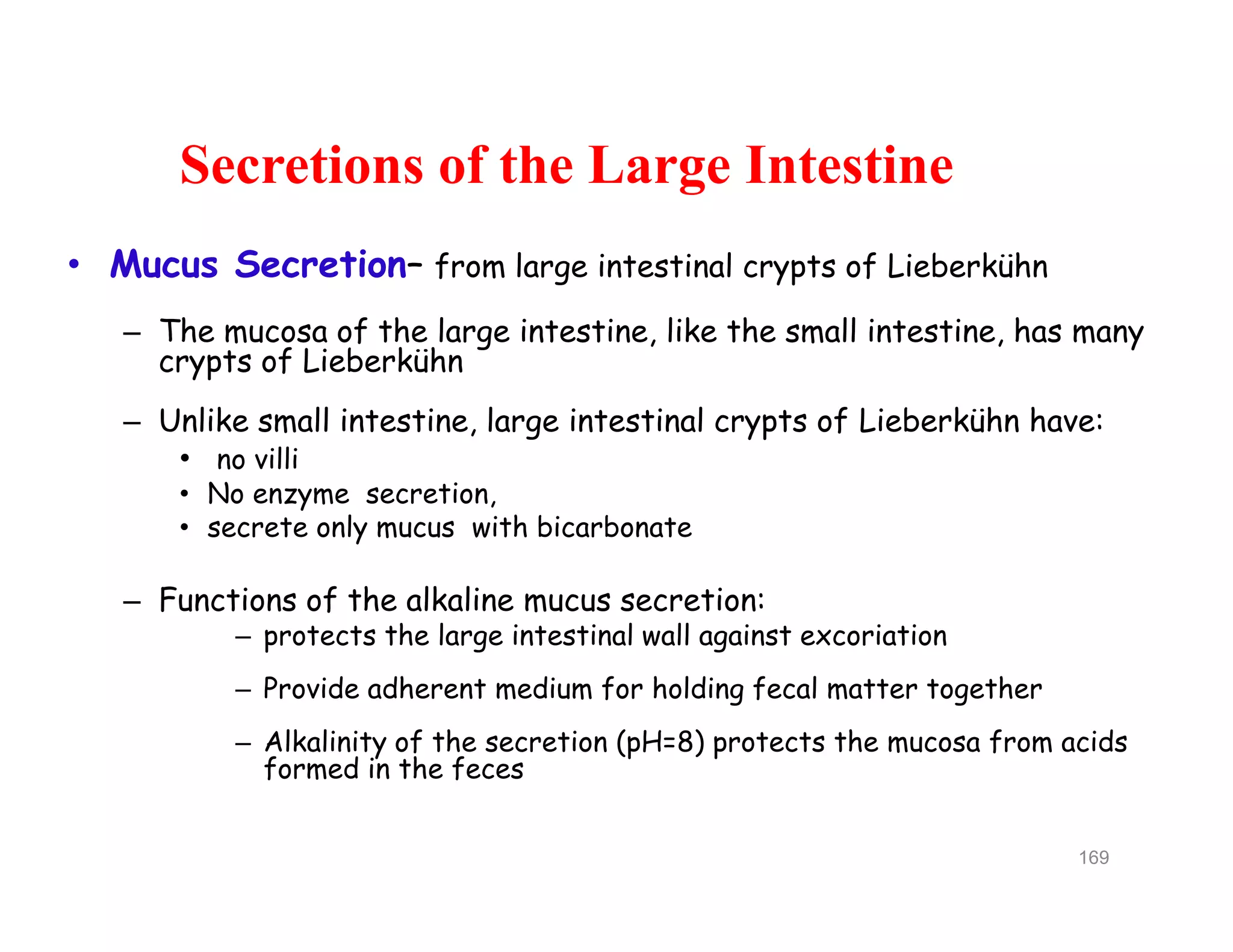 Secretions of the Large Intestine
• Mucus Secretion– from large intestinal crypts of Lieberkühn
– The mucosa of the large intestine, like the small intestine, has many
crypts of Lieberkühn
– Unlike small intestine, large intestinal crypts of Lieberkühn have:
• no villi
• No enzyme secretion,
• secrete only mucus with bicarbonate
– Functions of the alkaline mucus secretion:
– protects the large intestinal wall against excoriation
– Provide adherent medium for holding fecal matter together
– Alkalinity of the secretion (pH=8) protects the mucosa from acids
formed in the feces
Secretions of the Large Intestine
• Mucus Secretion– from large intestinal crypts of Lieberkühn
– The mucosa of the large intestine, like the small intestine, has many
crypts of Lieberkühn
– Unlike small intestine, large intestinal crypts of Lieberkühn have:
• no villi
• No enzyme secretion,
• secrete only mucus with bicarbonate
– Functions of the alkaline mucus secretion:
– protects the large intestinal wall against excoriation
– Provide adherent medium for holding fecal matter together
– Alkalinity of the secretion (pH=8) protects the mucosa from acids
formed in the feces
169
 