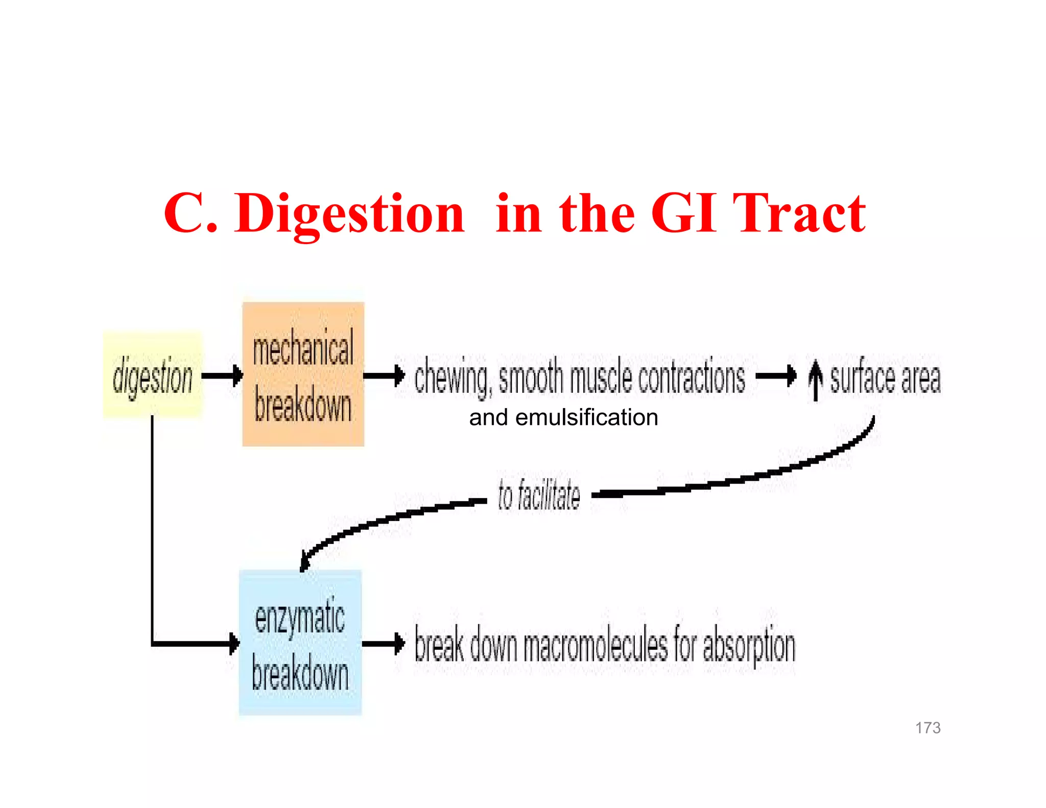 C. Digestion in the GI Tract
and emulsification
173
and emulsification
 