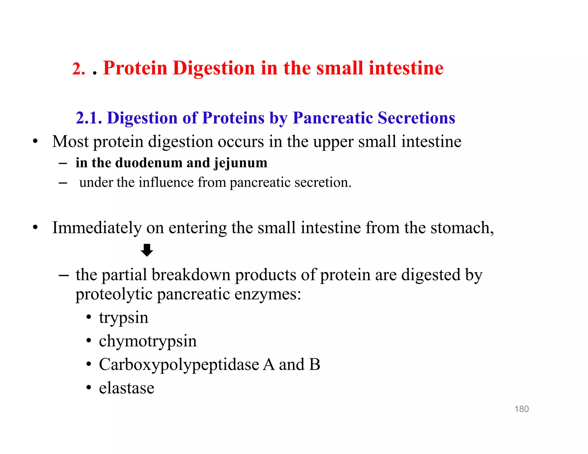 2. . Protein Digestion in the small intestine
2.1. Digestion of Proteins by Pancreatic Secretions
• Most protein digestion occurs in the upper small intestine
– in the duodenum and jejunum
– under the influence from pancreatic secretion.
• Immediately on entering the small intestine from the stomach,

– the partial breakdown products of protein are digested by
proteolytic pancreatic enzymes:
• trypsin
• chymotrypsin
• Carboxypolypeptidase A and B
• elastase
2. . Protein Digestion in the small intestine
2.1. Digestion of Proteins by Pancreatic Secretions
• Most protein digestion occurs in the upper small intestine
– in the duodenum and jejunum
– under the influence from pancreatic secretion.
• Immediately on entering the small intestine from the stomach,

– the partial breakdown products of protein are digested by
proteolytic pancreatic enzymes:
• trypsin
• chymotrypsin
• Carboxypolypeptidase A and B
• elastase
180
 