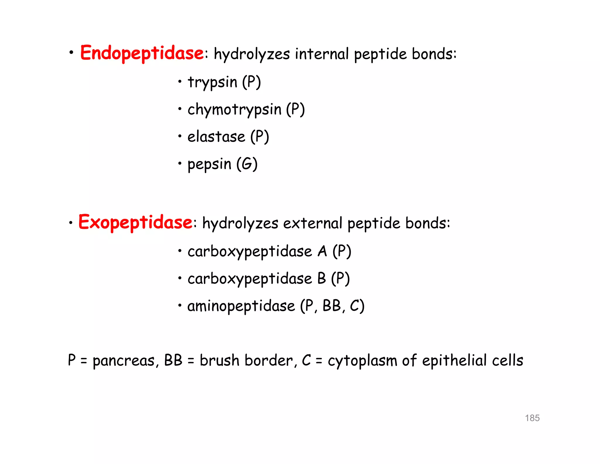 • Endopeptidase: hydrolyzes internal peptide bonds:
• trypsin (P)
• chymotrypsin (P)
• elastase (P)
• pepsin (G)
• Exopeptidase: hydrolyzes external peptide bonds:
• carboxypeptidase A (P)
• carboxypeptidase B (P)
• aminopeptidase (P, BB, C)
P = pancreas, BB = brush border, C = cytoplasm of epithelial cells
• Endopeptidase: hydrolyzes internal peptide bonds:
• trypsin (P)
• chymotrypsin (P)
• elastase (P)
• pepsin (G)
• Exopeptidase: hydrolyzes external peptide bonds:
• carboxypeptidase A (P)
• carboxypeptidase B (P)
• aminopeptidase (P, BB, C)
P = pancreas, BB = brush border, C = cytoplasm of epithelial cells
185
 