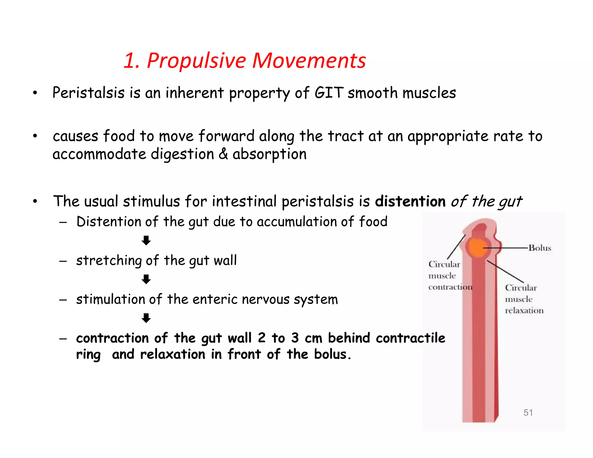 1. Propulsive Movements
• Peristalsis is an inherent property of GIT smooth muscles
• causes food to move forward along the tract at an appropriate rate to
accommodate digestion & absorption
• The usual stimulus for intestinal peristalsis is distention of the gut
– Distention of the gut due to accumulation of food

– stretching of the gut wall

– stimulation of the enteric nervous system

– contraction of the gut wall 2 to 3 cm behind contractile
ring and relaxation in front of the bolus.
• Peristalsis is an inherent property of GIT smooth muscles
• causes food to move forward along the tract at an appropriate rate to
accommodate digestion & absorption
• The usual stimulus for intestinal peristalsis is distention of the gut
– Distention of the gut due to accumulation of food

– stretching of the gut wall

– stimulation of the enteric nervous system

– contraction of the gut wall 2 to 3 cm behind contractile
ring and relaxation in front of the bolus.
51
 
