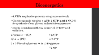Bioenergetics
• 6 ATPs required to generate one glucose molecule
• Gluconeogenesis requires 4 ATP, 2 GTP, and 2 NADH
for synthesis of one glucose molecule from pyruvate
• energy-dependent pathway supported by fatty acid
oxidation.
2Pyruvate → 2OA = 2ATP
2OA → 2PEP = 2 ATP
2 x 3-Phosphoglycerate → 2x 1,3 BP-glycerate
= 2 ATP
 