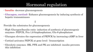 Hormonal regulation
• Insulin- decrease gluconeogenesis
• Glucagon, cortisol- Enhance gluconeogenesis by inducing synthesis of
hepatic transaminases
↓
Provide the substrates for gluconeogenesis
• High Glucagon/Insulin ratio- induction of synthesis of gluconeogenic
enzymes- PEPCK, Fru-1,6-bisphosphatase, Glu-6-phosphatase
• Glucagon elevates the expression of PEPCK by increasing cAMP in liver
• Cortisol activates PEPCK at gene level- ↑transcription
• Glycolytic enzymes- HK, PFK and PK are inhibited- insulin prevents
this inhibition
 