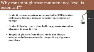 Why constant glucose maintenance level is
essential??
• Brain & nervous system, renal medulla, RBCs, testes,
embryonic tissues- glucose is major/ sole source of
energy
• Brain- 120g/day; more than half the glucose stored as
glycogen in mm. & liver
• Supply of glucose from this store is not always
adequate- in between meals, longer fasts, rigorous
exercises
 
