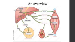 An overview
 