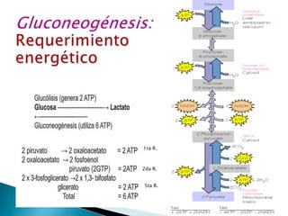 5ta R.
1ra R.
2da R.
 