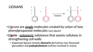 LIGNANS
•Lignans are single molecules created by union of two
phenylpropanoid molecules (see above)
•Lignin - polymeric substance that assists cellulose in
strengthening cell walls
• Important lignans include silymarin derivatives (see flavonoid
glycosides) and podophyllotoxin (will be revisited in resins)
 