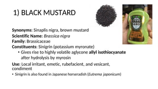 1) BLACK MUSTARD
Synonyms: Sinaplis nigra, brown mustard
Scientific Name: Brassica nigra
Family: Brassicaceae
Constituents: Sinigrin (potassium myronate)
• Gives rise to highly volatile aglycone allyl isothiocyanate
after hydrolysis by myrosin
Use: Local irritant, emetic, rubefacient, and vesicant,
condiment
• Sinigrin is also found in Japanese horseradish (Eutrema japonicum)
 