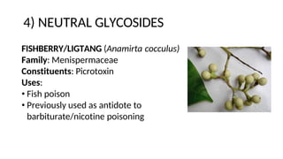 4) NEUTRAL GLYCOSIDES
FISHBERRY/LIGTANG (Anamirta cocculus)
Family: Menispermaceae
Constituents: Picrotoxin
Uses:
• Fish poison
• Previously used as antidote to
barbiturate/nicotine poisoning
 