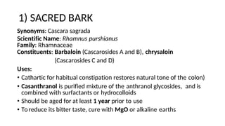 1) SACRED BARK
Synonyms: Cascara sagrada
Scientific Name: Rhamnus purshianus
Family: Rhamnaceae
Constituents: Barbaloin (Cascarosides A and B), chrysaloin
(Cascarosides C and D)
Uses:
• Cathartic for habitual constipation restores natural tone of the colon)
• Casanthranol is purified mixture of the anthranol glycosides, and is
combined with surfactants or hydrocolloids
• Should be aged for at least 1 year prior to use
• Toreduce its bitter taste, cure with MgO or alkaline earths
 