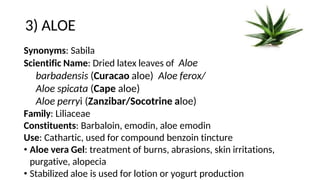 3) ALOE
Synonyms: Sabila
Scientific Name: Dried latex leaves of Aloe
barbadensis (Curacao aloe) Aloe ferox/
Aloe spicata (Cape aloe)
Aloe perryi (Zanzibar/Socotrine aloe)
Family: Liliaceae
Constituents: Barbaloin, emodin, aloe emodin
Use: Cathartic, used for compound benzoin tincture
• Aloe vera Gel: treatment of burns, abrasions, skin irritations,
purgative, alopecia
• Stabilized aloe is used for lotion or yogurt production
 