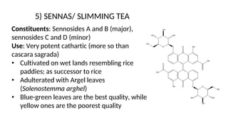 5) SENNAS/ SLIMMING TEA
Constituents: Sennosides A and B (major),
sennosides C and D (minor)
Use: Very potent cathartic (more so than
cascara sagrada)
• Cultivated on wet lands resembling rice
paddies; as successor to rice
• Adulterated with Argel leaves
(Solenostemma arghel)
• Blue-green leaves are the best quality, while
yellow ones are the poorest quality
 