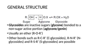 GENERAL STRUCTURE
•Glycosides are inactive sugars (glycone) bonded to a
non-sugar active portion (aglycone/genin)
•Usually an ether (R-O-R’)
•Other bonds such as R-C-R’ (C-glycosides), R-N-R’ (N-
glycosides) and R-S-R’ (S-glycosides) are possible
 