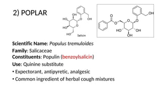 2) POPLAR
Scientific Name: Populus tremuloides
Family: Salicaceae
Constituents: Populin (benzoylsalicin)
Use: Quinine substitute
• Expectorant, antipyretic, analgesic
• Common ingredient of herbal cough mixtures
 