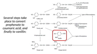 Several steps take
place to convert
prephenate to
coumaric acid, and
finally to vanillin:
 