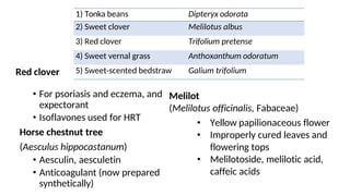 Red clover
• For psoriasis and eczema, and
expectorant
• Isoflavones used for HRT
Horse chestnut tree
(Aesculus hippocastanum)
• Aesculin, aesculetin
• Anticoagulant (now prepared
synthetically)
1) Tonka beans Dipteryx odorata
2) Sweet clover Melilotus albus
3) Red clover Trifolium pretense
4) Sweet vernal grass Anthoxanthum odoratum
5) Sweet-scented bedstraw Galium trifolium
Melilot
(Melilotus officinalis, Fabaceae)
• Yellow papilionaceous flower
• Improperly cured leaves and
flowering tops
• Melilotoside, melilotic acid,
caffeic acids
 