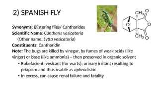 2) SPANISH FLY
Synonyms: Blistering flies/ Cantharides
Scientific Name: Cantharis vesicatoria
(Other name: Lytta vesicatoria)
Constituents: Cantharidin
Note: The bugs are killed by vinegar, by fumes of weak acids (like
vinger) or base (like ammonia) – then preserved in organic solvent
• Rubefacient, vesicant (for warts), urinary irritant resulting to
priapism and thus usable as aphrodisiac
• In excess, can cause renal failure and fatality
 