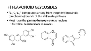 F) FLAVONOID GLYCOSIDES
• “C6-C3-C6 ” compounds arising from the phenylpropanoid
(prephenate) branch of the shikimate pathway
• Most have the gamma-benzopyrone as nucleus
• Exception: benzofuranone in aurones
 