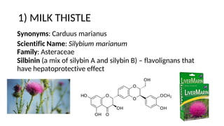 1) MILK THISTLE
Synonyms: Carduus marianus
Scientific Name: Silybium marianum
Family: Asteraceae
Silbinin (a mix of silybin A and silybin B) – flavolignans that
have hepatoprotective effect
 