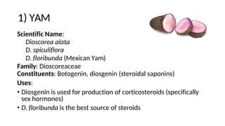 1) YAM
Scientific Name:
Dioscorea alata
D. spiculiflora
D. floribunda (Mexican Yam)
Family: Dioscoreaceae
Constituents: Botogenin, diosgenin (steroidal saponins)
Uses:
• Diosgenin is used for production of corticosteroids (specifically
sex hormones)
• D. floribunda is the best source of steroids
 