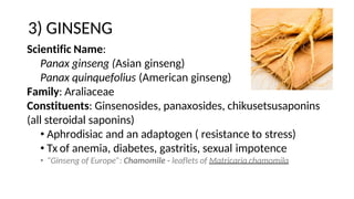3) GINSENG
Scientific Name:
Panax ginseng (Asian ginseng)
Panax quinquefolius (American ginseng)
Family: Araliaceae
Constituents: Ginsenosides, panaxosides, chikusetsusaponins
(all steroidal saponins)
• Aphrodisiac and an adaptogen ( resistance to stress)
• Tx of anemia, diabetes, gastritis, sexual impotence
• “Ginseng of Europe”: Chamomile - leaflets of Matricaria chamomila
 