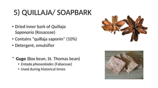 5) QUILLAJA/ SOAPBARK
• Dried inner bark of Quillaja
Saponaria (Rosaceae)
• Contains “quillaja saponin” (10%)
• Detergent, emulsifier
* Gugo (Box bean, St. Thomas bean)
• Entada phaseoloides (Fabaceae)
• Used during historical times
 