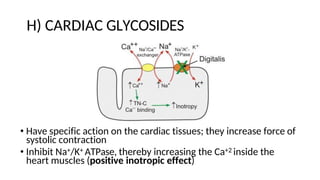 H) CARDIAC GLYCOSIDES
• Have specific action on the cardiac tissues; they increase force of
systolic contraction
• Inhibit Na+/K+ ATPase, thereby increasing the Ca+2 inside the
heart muscles (positive inotropic effect)
 