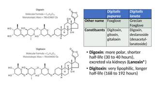 • Digoxin: more polar, shorter
half-life (30 to 40 hours),
excreted via kidneys (Lanoxin®)
• Digitoxin: very lipophilic, longer
half-life (168 to 192 hours)
Digitalis
pupurea
Digitalis
lanata
Other name Foxglove Grecian
Foxglove
Constituents Digitoxin,
gitoxin,
gitaloxin
Digoxin,
deslanoside
(desacetyl-
lanatoside)
 
