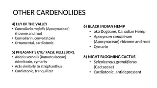 OTHER CARDENOLIDES
4) LILY OF THE VALLEY
• Convallaria majalis (Apocynaceae)
rhizome and root
• Convallarin, convallatoxin
• Ornamental, cardiotonic
5) PHEASANT’S EYE/ FALSE HELLEBORE
• Adonis vernalis (Ranunculaceae)
Adonitoxin, cymarin
• Acts similarly to strophanthus
• Cardiotonic, tranquilizer
6) BLACK INDIAN HEMP
• aka Dogbane, Canadian Hemp
• Apocynum canabinum
(Apocynaceae) rhizome and root
• Cymarin
6) NIGHT BLOOMING CACTUS
• Selenicereus grandiflorus
(Cactaceae)
• Cardiotonic, antidepressant
 