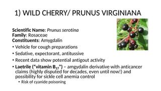 1) WILD CHERRY/ PRUNUS VIRGINIANA
Scientific Name: Prunus serotina
Family: Rosaceae
Constituents: Amygdalin
• Vehicle for cough preparations
• Sedative, expectorant, antitussive
• Recent data show potential antigout activity
• Laetrile (“vitamin B17”) – amgydalin derivative with anticancer
claims (highly disputed for decades, even until now!) and
possibility for sickle cell anemia control
• Risk of cyanide poisoning
 