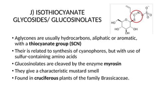 J) ISOTHIOCYANATE
GLYCOSIDES/ GLUCOSINOLATES
• Aglycones are usually hydrocarbons, aliphatic or aromatic,
with a thiocyanate group (SCN)
• Their is related to synthesis of cyanophores, but with use of
sulfur-containing amino acids
• Glucosinolates are cleaved by the enzyme myrosin
• They give a characteristic mustard smell
• Found in cruciferous plants of the family Brassicaceae.
 
