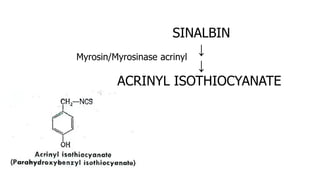 SINALBIN
↓
↓
ACRINYL ISOTHIOCYANATE
Myrosin/Myrosinase acrinyl
 