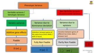 .
Phenotypic Variance
Non Heritable variance
/Environmental Variance
Heritable variance /
Genotypic Variance
Variance due to
epistasis
Variance
dominance
due to
deviation
Genetic variance
Interation between genes of
different loci (Inter allelic /
between loci)
Additive gene effects Interation between genes of
the same locus (Intra allelic /
with in locus)
Fixable
Fully Non Fixable Partly Non Fixable
E

d 
H (or) h
D (or)  
i , j

l
and Dr. K. Saravanan,
GPB, AU
Non Herit
 