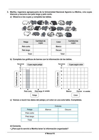 __________________________________________________________________________________________
_____________________________________________________________________________________________
4°Marzo/16
3. Martha, ingeniera agropecuaria de la Universidad Nacional Agraria La Molina, cría cuyes
blancos y oscuros con pelo largo y pelo corto.
a) Observa a los cuyes y completa las tablas.
b) Completa los gráficos de barras con la información de las tablas.
c) Vamos a reunir los datos del pelaje y el color en una sola tabla. Complétala.
Colores
Pelaje Blanco Oscuro
Pelo corto
Pelo largo
Total
d) Comenta.
• ¿Para qué le servirá a Martha tener la información organizada?
 