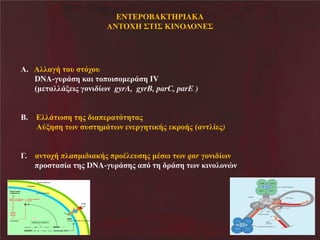 ENTEΡOBAKTHΡIAKA
ΝΣΟΥ Ν΢ΣΙ΢ΝΚΙΝΟΛΟΝ ΢

έΝΝΝ ζζαΰάΝ κυΝ σξκυ
DNA-ΰυλΪ β εαδΝ κπκδ κη λΪ β IV
Χη αζζΪι δμΝΰκθδ έπθΝ gyrA, gyrB, parC, parE )
έΝΝΝΝ ζζΪ π β βμΝ δαπ λα σ β αμ
τιβ βΝ πθΝ υ βηΪ πθΝ θ λΰβ δεάμΝ ελκάμΝΧαθ ζέ μ)
Γ.

αθ κξά πζα ηδ δαεάμ πλκΫζ υ βμ ηΫ π πθ qnr ΰκθδ έπθ
πλκ α έαΝ βμΝDNA-ΰυλΪ βμ απσΝ βΝ λΪ βΝ πθΝεδθκζκθυθ

 