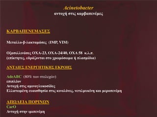 Αcinetobacter

αθ κξάΝ δμΝεαλίαπ θΫη μ

Κ Ρ

Π Ν Μ ΢ ΢

Μ αζζκ-ί-ζαε αηΪ μ (ΙΜP, VIM)
Οια δζζδθΪ μ ΟΥ -23, ΟΥ -24/40, ΟΥ 58 ε.ζ.π.
Χ πέε β μ, λΪακθ αδ κ ξλπησ πηα ά πζα ηέ δα)
ANTΛΙ ΢ Ν ΡΓ ΣΙΚ ΢ ΚΡΟ ΢
deABC (80% ωθ
ζ χώθ)
πδπζΫκθ
θ κξά δμ αηδθκΰζυεκ έ μ
ζζα πηΫθβ υαδ γβ έα δμ εδθκζσθ μ, θ δζηυεέθβ εαδ η λκπ θΫηβ

ΠΧΛ Ι ΠΟΡΙΝΧΝ
CarO
θ κξά

βθ δηδπ θΫηβ

 