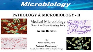 DPT - Microbiology II (Gram +ve Spore forming rods) | PPTX