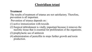 DPT - Microbiology II (Gram +ve Spore forming rods) | PPTX