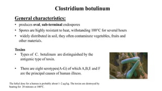 DPT - Microbiology II (Gram +ve Spore forming rods) | PPTX