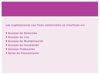 Las explotaciones con fines comerciales se clasifican en:
Granjas de Selección
Granjas de cría
Granjas de Multiplicación
Granjas de Incubación
Granjas Producción
Salas de Faenamiento