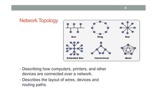Graphs | PDF