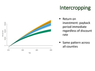 Intercropping
 Return on
investment: payback
period immediate
regardless of discount
rate
 Same pattern across
all counties
 