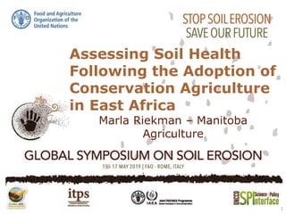 Assessing Soil Health
Following the Adoption of
Conservation Agriculture
in East Africa
Marla Riekman – Manitoba
Agriculture
1
 