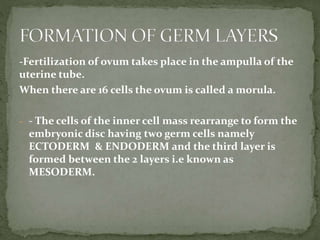 -Fertilization of ovum takes place in the ampulla of the
uterine tube.
When there are 16 cells the ovum is called a morula.
- - The cells of the inner cell mass rearrange to form the
embryonic disc having two germ cells namely
ECTODERM & ENDODERM and the third layer is
formed between the 2 layers i.e known as
MESODERM.
 