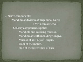 4. Nerve components:
-- Mandibular division of Trigeminal Nerve
( Vth Cranial Nerve)
-- Sensory component supplies
: Mandible and covering mucosa.
: Mandibular teeth including Gingiva.
: Mucosa of ant. 2/3 of Tongue.
: Floor of the mouth.
: Skin of the lower third of Face
 