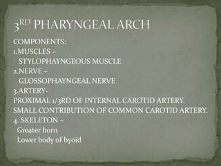 COMPONENTS:
1.MUSCLES –
STYLOPHAYNGEOUS MUSCLE
2.NERVE –
GLOSSOPHAYNGEAL NERVE
3.ARTERY-
PROXIMAL 1/3RD OF INTERNAL CAROTID ARTERY.
SMALL CONTRIBUTION OF COMMON CAROTID ARTERY.
4. SKELETON –
Greater horn
Lower body of hyoid
 