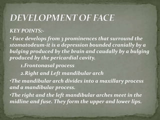 KEY POINTS:-
• Face develops from 3 prominences that surround the
stomatodeum-it is a depression bounded cranially by a
bulging produced by the brain and caudally by a bulging
produced by the pericardial cavity.
1.Frontonasal process
2.Right and Left mandibular arch
•The mandibular arch divides into a maxillary process
and a mandibular process.
•The right and the left mandibular arches meet in the
midline and fuse. They form the upper and lower lips.
 