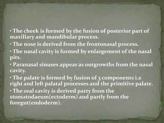 • The cheek is formed by the fusion of posterior part of
maxillary and mandibular process.
• The nose is derived from the frontonasal process.
• The nasal cavity is formed by enlargement of the nasal
pits.
• Paranasal sinuses appear as outgrowths from the nasal
cavity.
• The palate is formed by fusion of 3 components i.e
right and left palatal processes and the primitive palate.
• The oral cavity is derived party from the
stomatodaeum(ectoderm) and partly from the
foregut(endoderm).
 