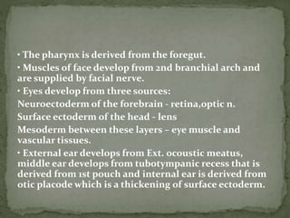 • The pharynx is derived from the foregut.
• Muscles of face develop from 2nd branchial arch and
are supplied by facial nerve.
• Eyes develop from three sources:
Neuroectoderm of the forebrain - retina,optic n.
Surface ectoderm of the head - lens
Mesoderm between these layers – eye muscle and
vascular tissues.
• External ear develops from Ext. ocoustic meatus,
middle ear develops from tubotympanic recess that is
derived from 1st pouch and internal ear is derived from
otic placode which is a thickening of surface ectoderm.
 